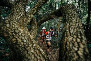 BIB: 
                            <button type="button" onclick="openModal(25392918)" class="btn btn-primary btn-sm float-right btn-popup" data-toggle="modal" data-target=".modal-high-quality">
                        <i class="fas fa-shopping-cart"></i> Add to Cart
                    </button>
                                            <button type="button" onclick="isThisMe(25392918, true)" class="btn btn-success btn-sm float-right btn-popup btn-isme hidden" data-toggle="tooltip" data-placement="bottom" title="นี่คือรูปของคุณใช่ไหม คลิกที่นี่เพื่อเอาเข้าอัลบั้ม">
                        <i class="fas fa-plus"></i> Add to album
                    </button>
                    <button type="button" onclick="isThisMe(25392918, false)" class="btn btn-warning btn-sm float-right btn-popup btn-isnotme hidden">
                        <i class="fas fa-ban"></i> Remove from album
                    </button>